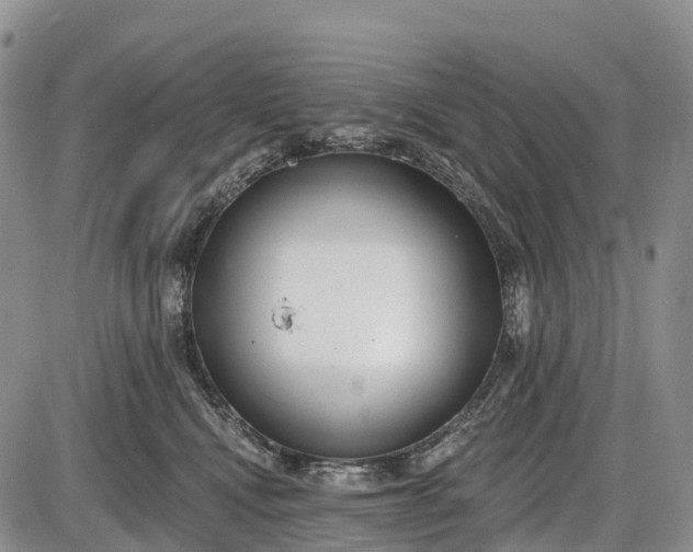 X0000085000472200703191054