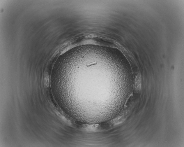 X0000085000474200703191054