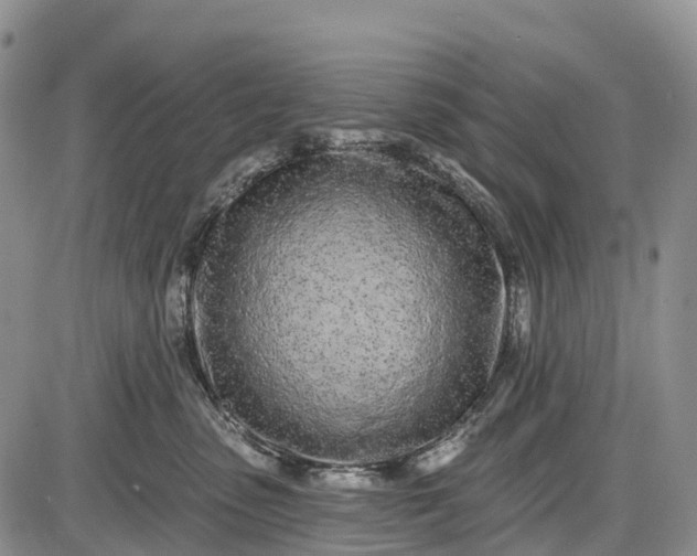 X0000085000475200703191054