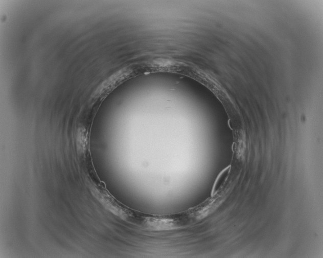 X0000085000476200703191054