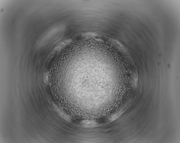 X0000085000477200703191054