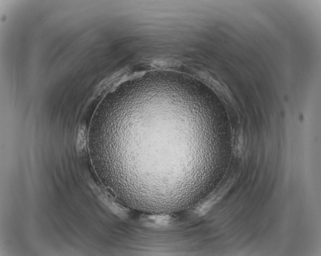 X0000085000478200703191054