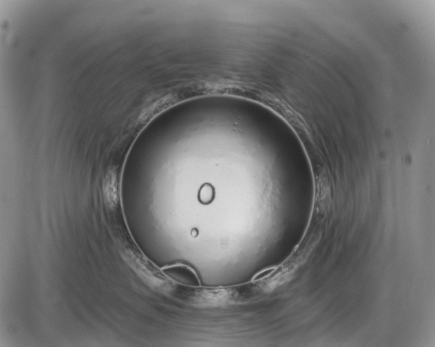 X0000085000479200703191054