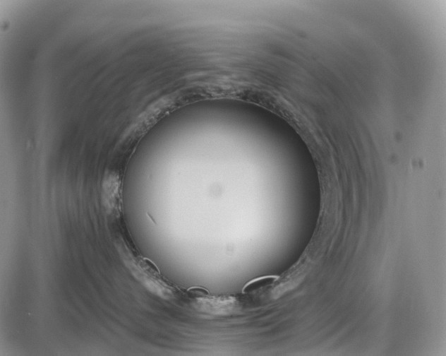 X0000085000480200703191054