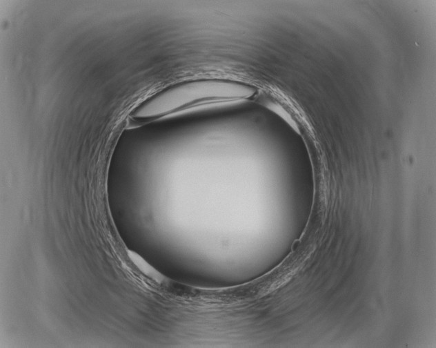 X0000085000481200703191054