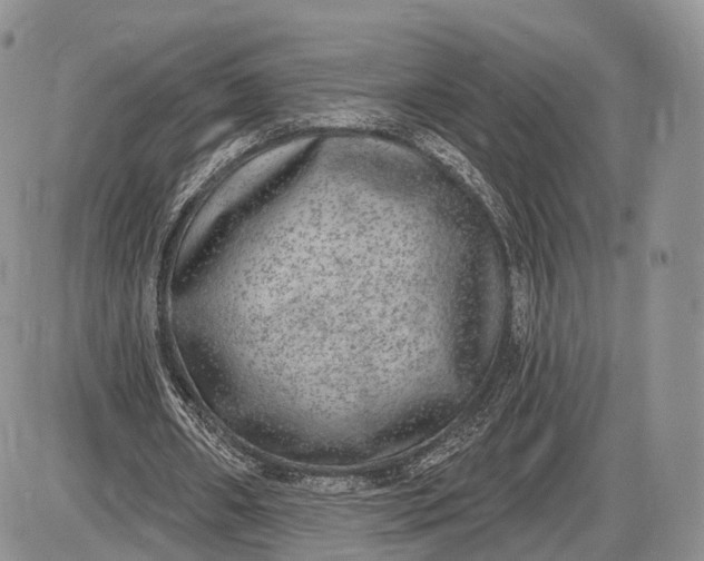 X0000085000482200703191054