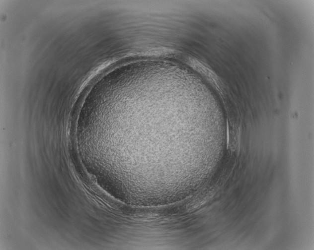 X0000085000483200703191054