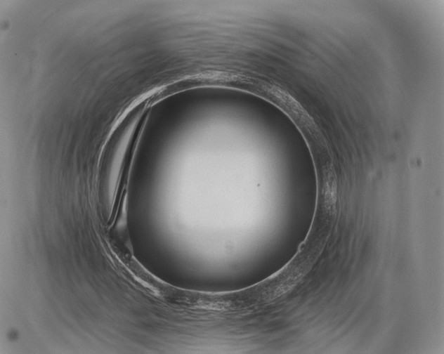 X0000085000484200703191054