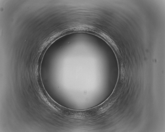 X0000085000485200703191054