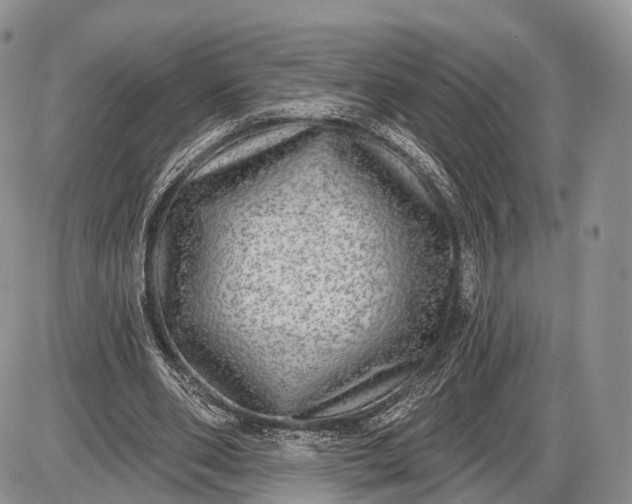 X0000085000486200703191054