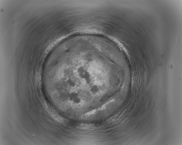 X0000085000487200703191054