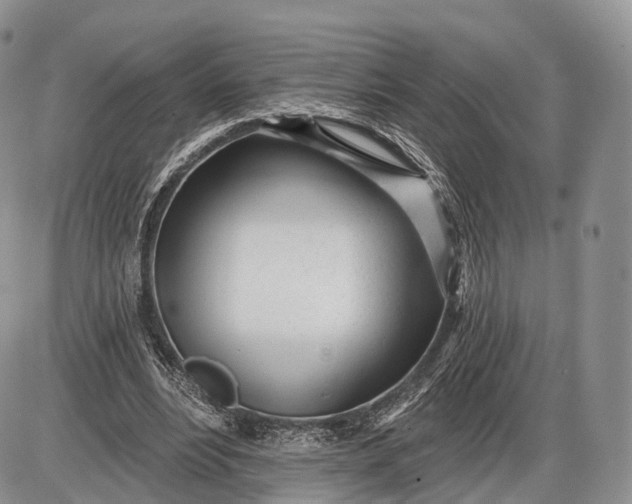 X0000085000488200703191054