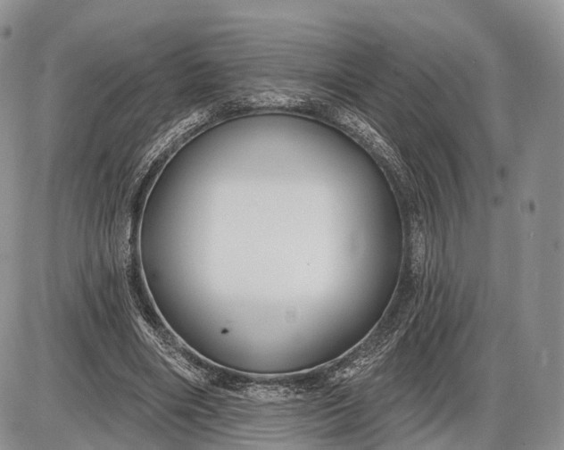 X0000085000490200703191053