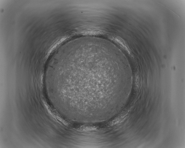 X0000085000491200703191053