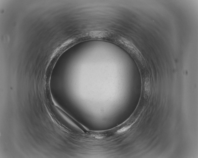 X0000085000492200703191053