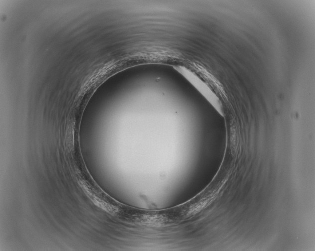 X0000085000493200703191053