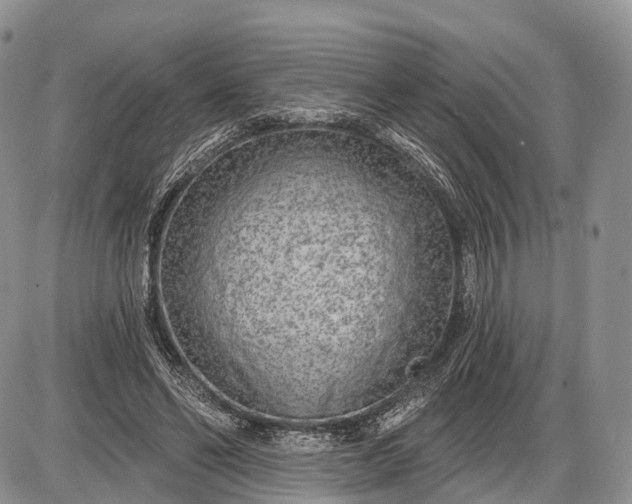 X0000085000494200703191053