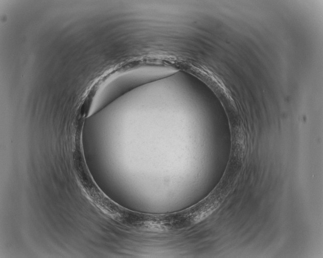 X0000085000496200703191053