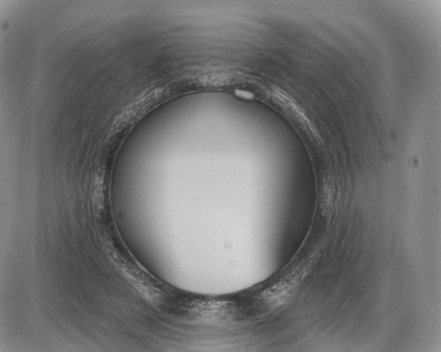 X0000085000497200703191053