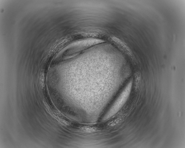 X0000085000498200703191053