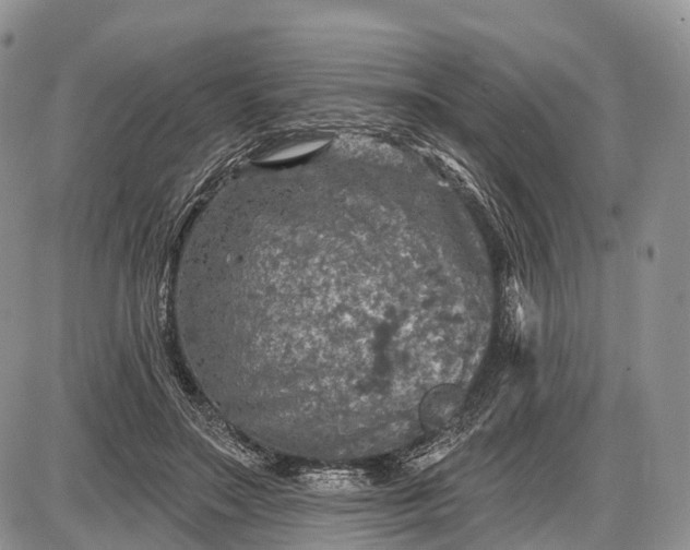 X0000085000499200703191053