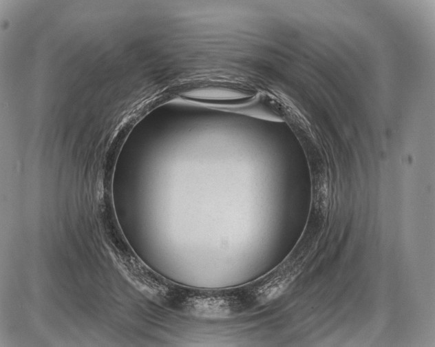 X0000085000500200703191053