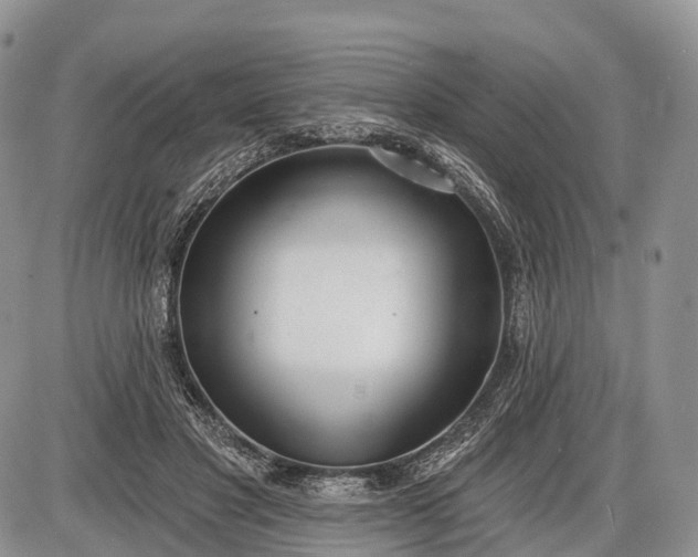 X0000085000501200703191053