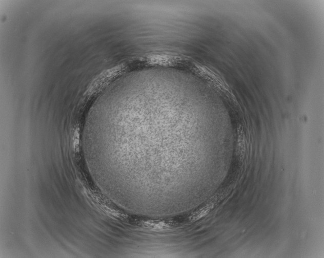 X0000085000502200703191053