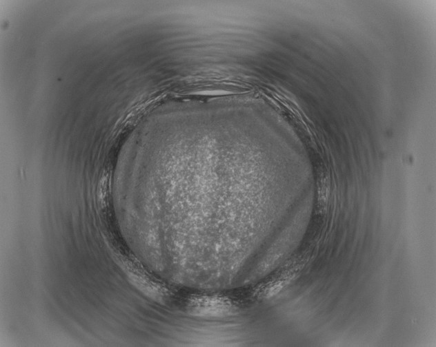 X0000085000503200703191053