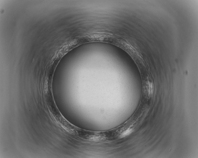 X0000085000504200703191053