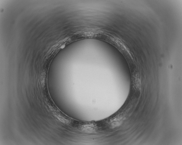 X0000085000505200703191053