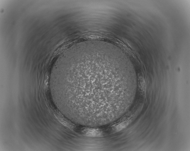 X0000085000507200703191053