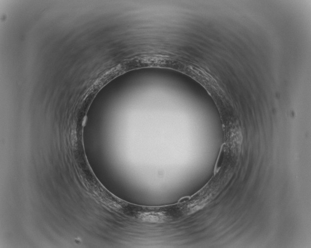 X0000085000508200703191053