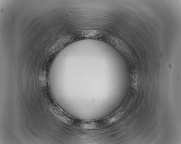 X0000085000510200703191053