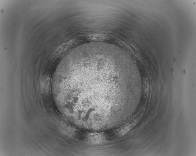 X0000085000511200703191053