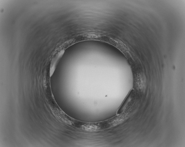 X0000085000512200703191053