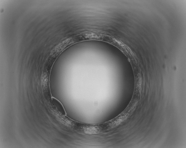 X0000085000513200703191053