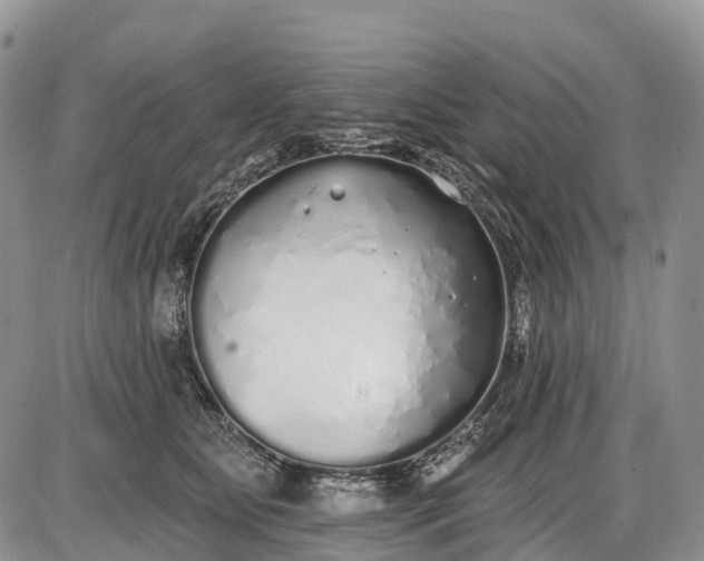 X0000085000515200703191053