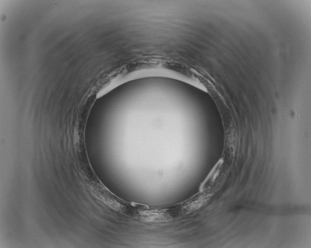 X0000085000516200703191053