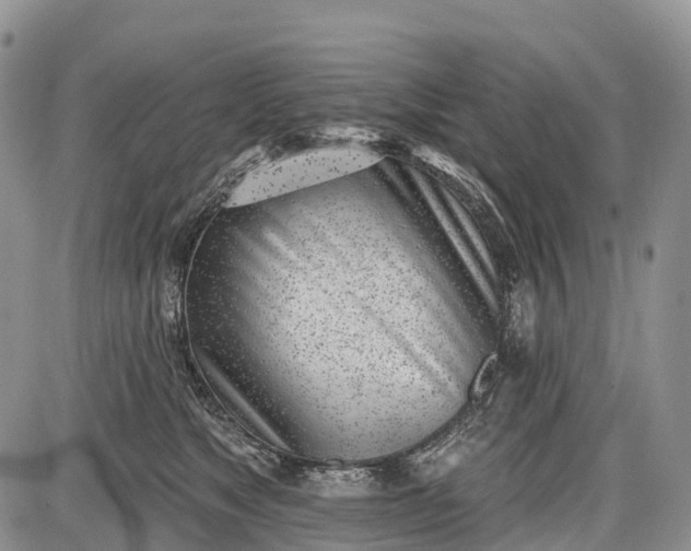 X0000085000517200703191053