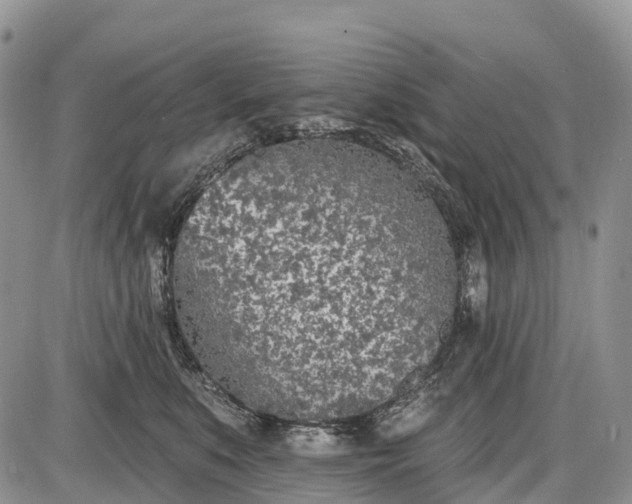 X0000085000519200703191053