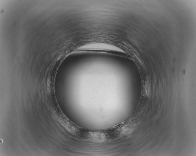 X0000085000520200703191053