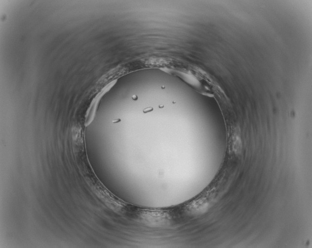 X0000085000521200703191053