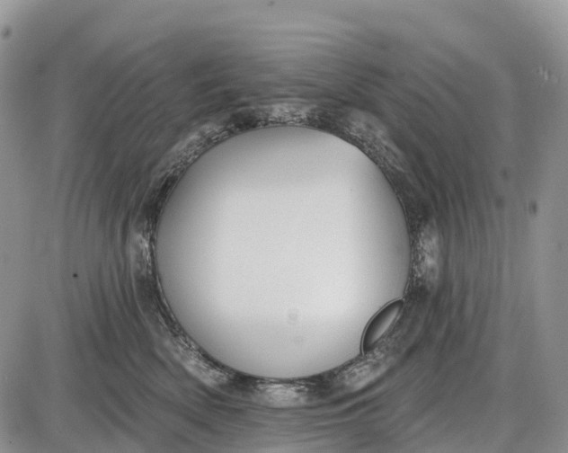 X0000085000522200703191053