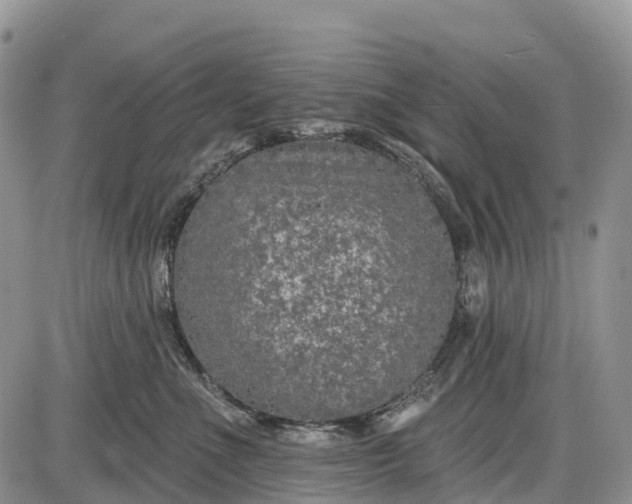 X0000085000523200703191053