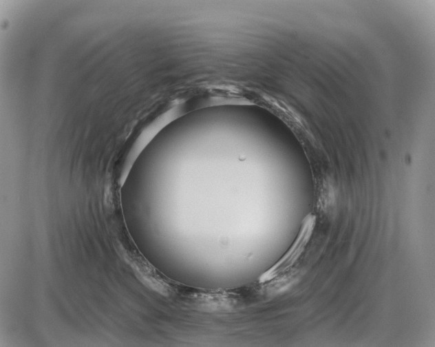 X0000085000524200703191053