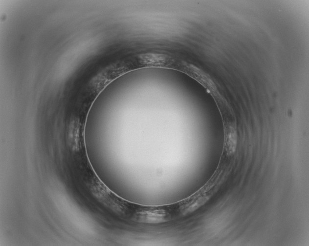 X0000085000525200703191053