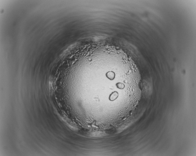 X0000085000527200703191053