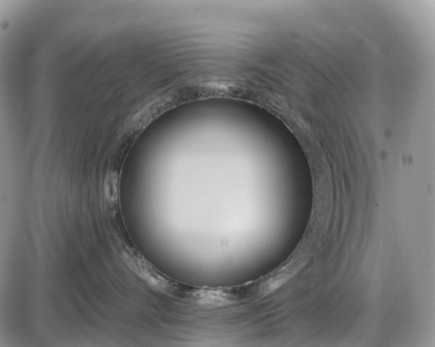 X0000085000528200703191053