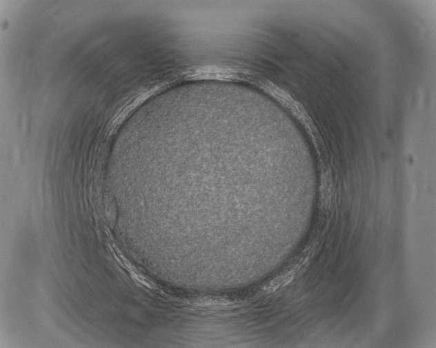 X0000085000529200703191052